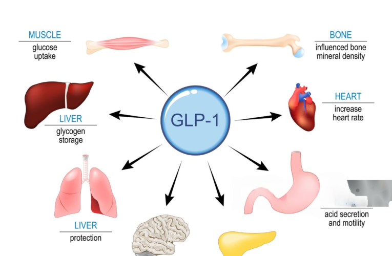 A Beginner’s Guide to GLP-1 Receptor Agonists for Health and Wellness